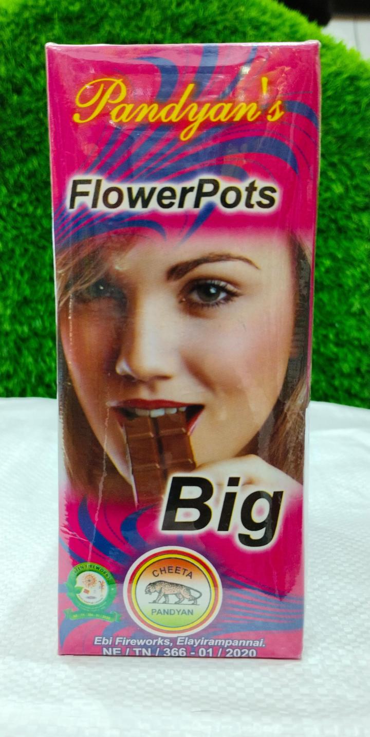 FLOWER POTS BIG