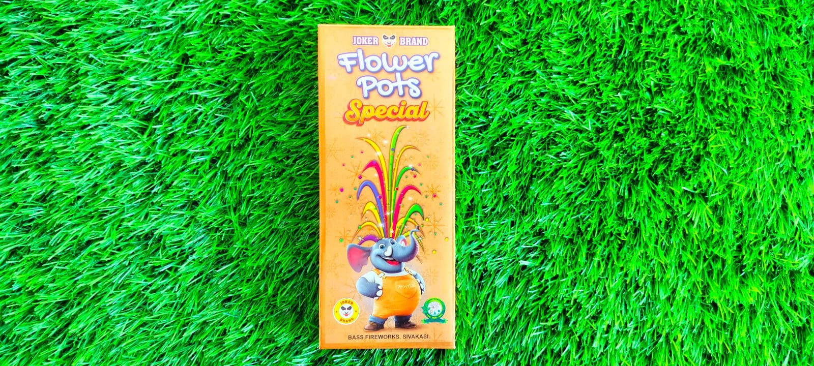 FLOWER POTS SPECIAL
