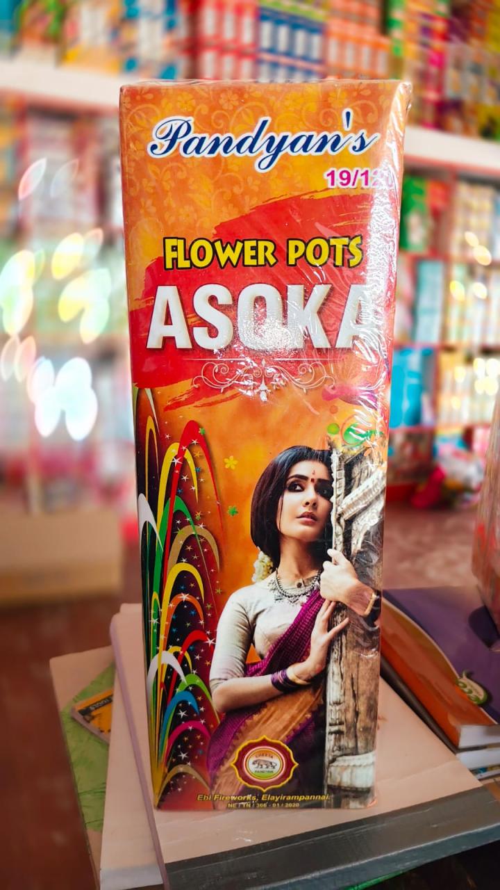 FLOWER POTS ASHOKA
